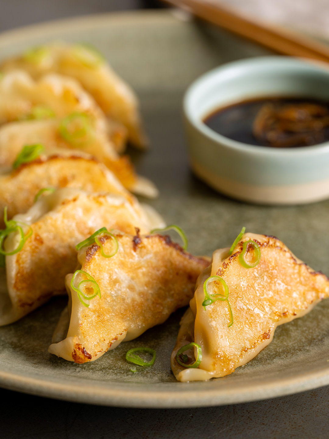 Chicken Pot Sticker Dumplings 