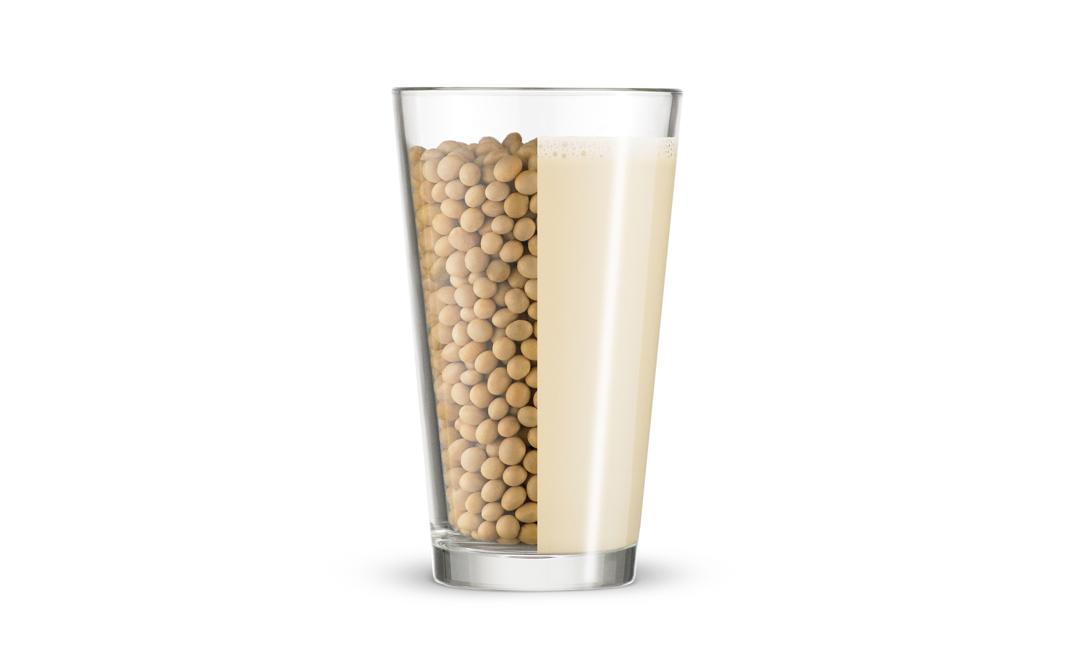 Essential Soybean Milk