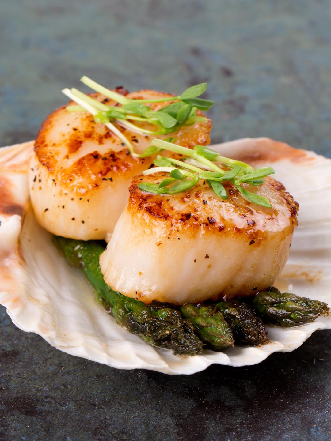 Essential Scallops