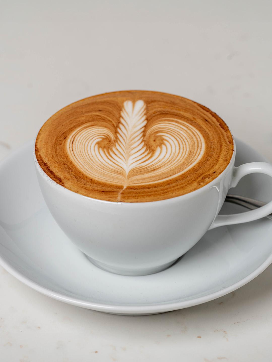 Recipes Essential Cappuccino Breville