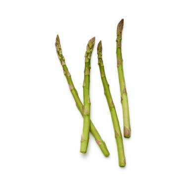 asparagus icon
