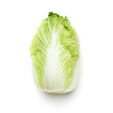 large napa cabbage leaf icon