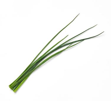 sliced chives icon