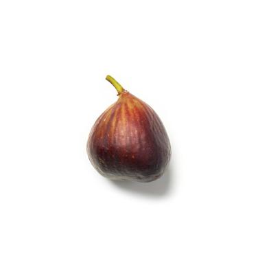fig icon