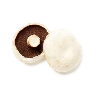 mushroom icon