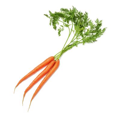heirloom carrot icon