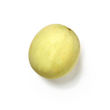 honeydew melon icon
