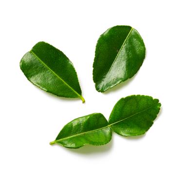 single fresh makrut (wild) lime leaves icon