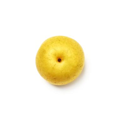 medium nashi pear icon