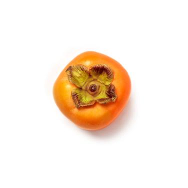 medium firm persimmon icon