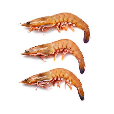 (2 lb 3 oz) raw jumbo shrimp icon