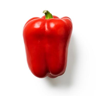 medium red bell pepper icon