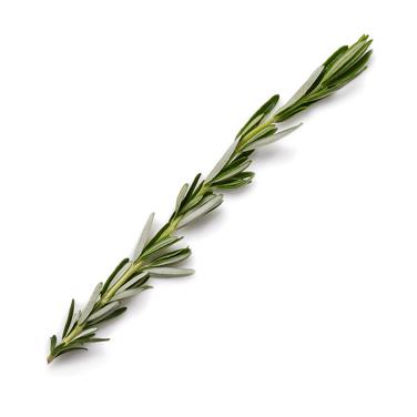 long rosemary sprig icon