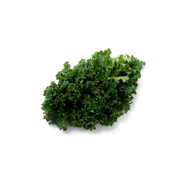 kale leaf icon