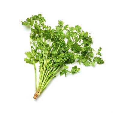 finely chopped cilantro leaves icon
