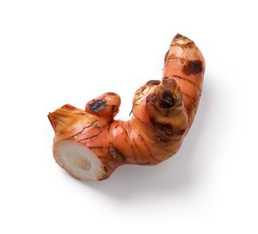 2-inch piece galangal icon