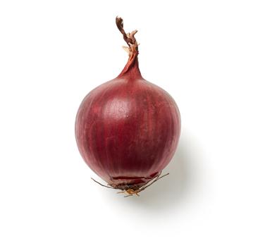 medium red onion icon