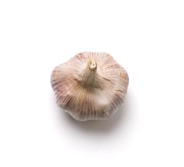 head garlic icon