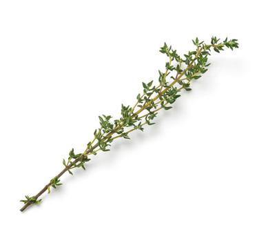 thyme leaves icon