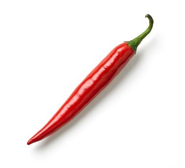 long hot red chili pepper icon