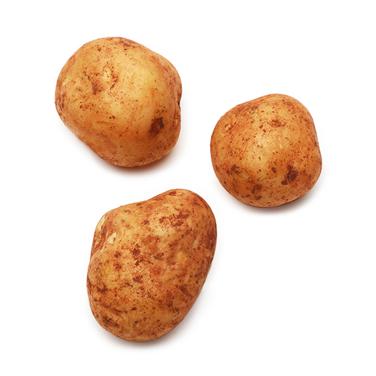 russet potato icon