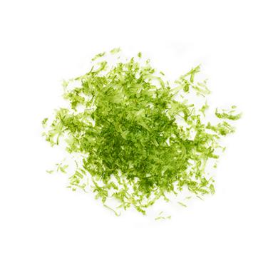 grated lime zest icon