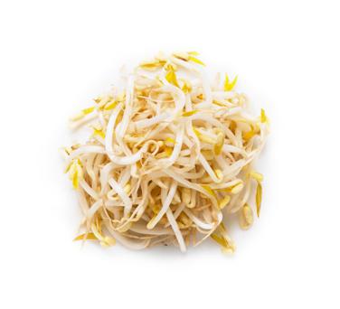 bean sprouts icon