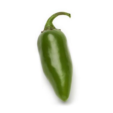 fresh jalapeño pepper icon