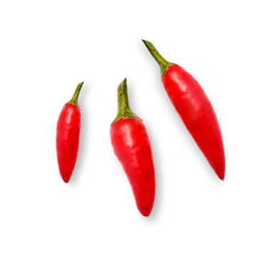 red serrano or fresnos chili icon