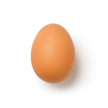 fresh egg icon
