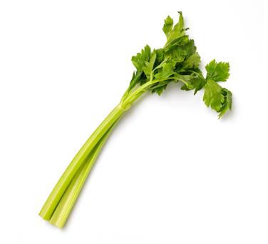 small celery heart stalks icon