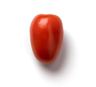 small Roma tomato icon