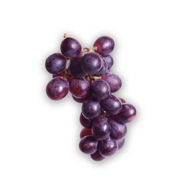 seedless purple grapes icon