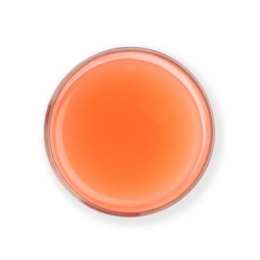 chilled ruby red grapefruit juice icon