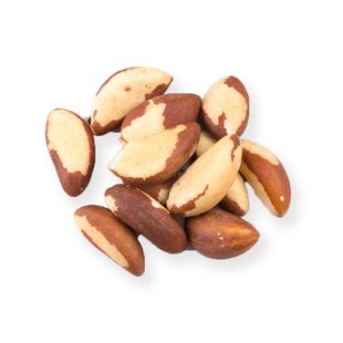 Brazil nuts icon