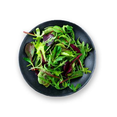 green salad icon