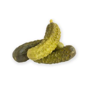 gherkins icon