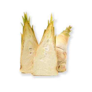 can sliced bamboo shoots icon