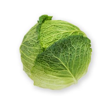 medium savoy cabbage icon