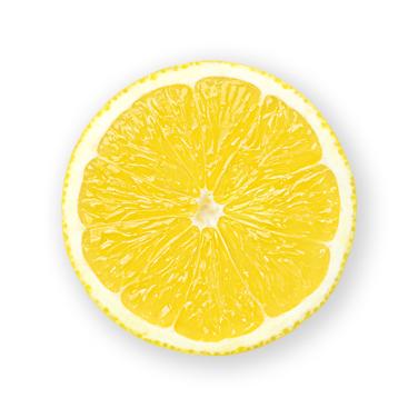 lemon slice icon