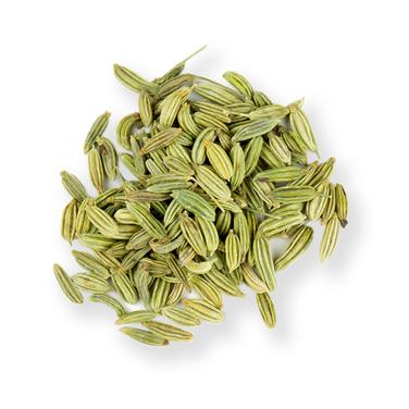 fennel seed icon