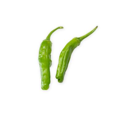 shishito pepper icon