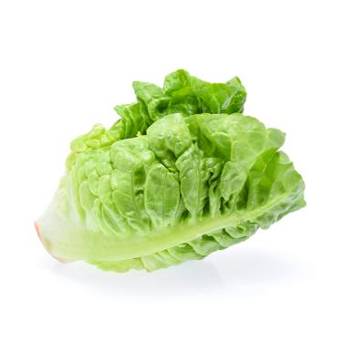 baby romaine lettuce icon