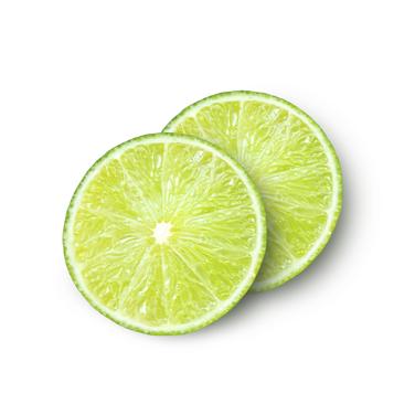 lime slice icon