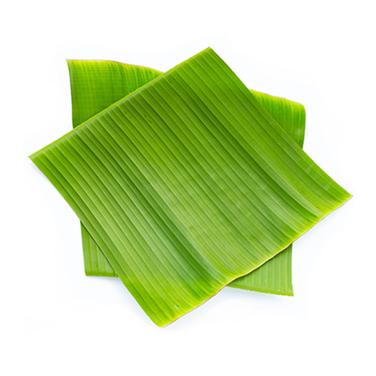 banana leaf 10-inch x 5-inch icon