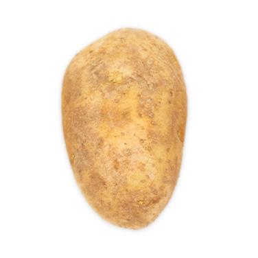 Russet Burbank potato icon