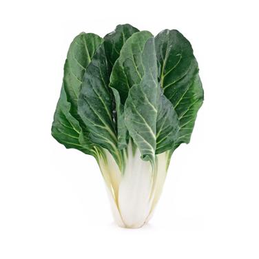 Swiss chard icon