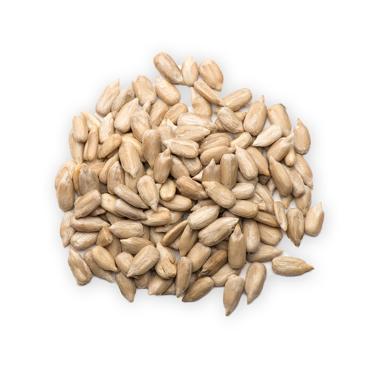 sunflower seed kernels icon