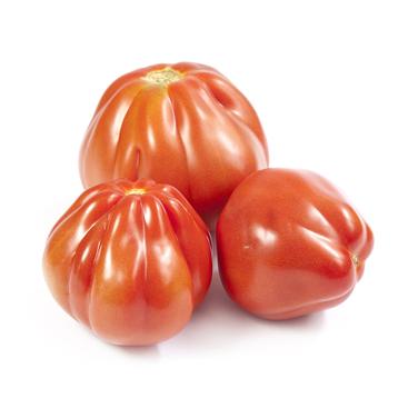 large oxheart tomato icon