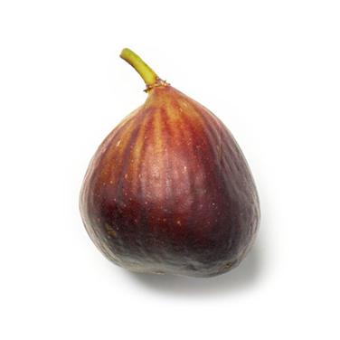 fresh fig icon